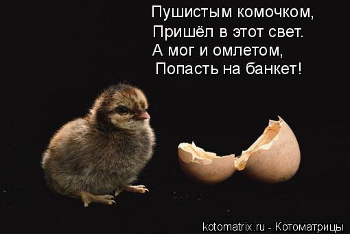 4743317_mM (510x341, 21Kb)