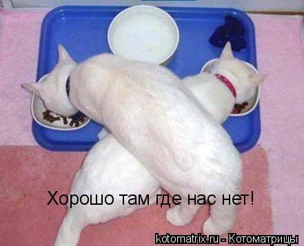4743317_j5 (441x358, 24Kb)