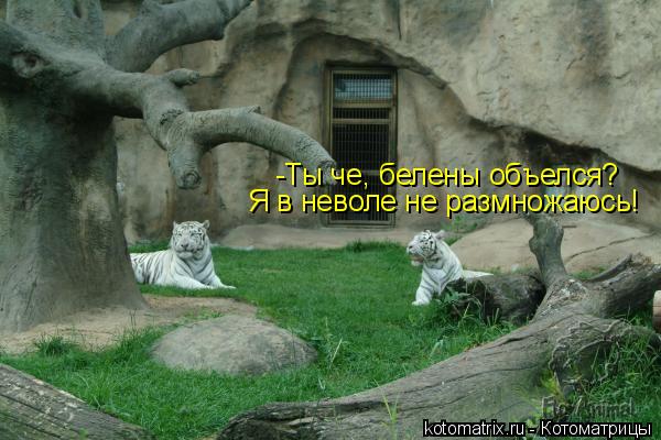 4743317_79 (600x400, 50Kb)