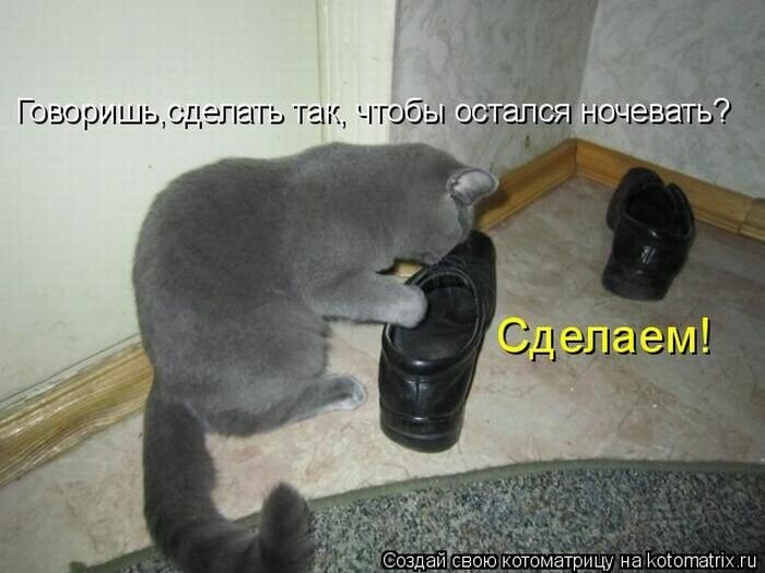 4743317_i_jpgav (700x525, 67Kb)