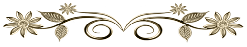 ab7bae0da3f3466d2247f393ceb20dd2 (500x96, 59Kb)