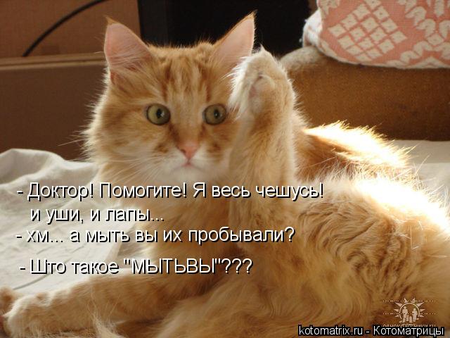 4743317__ (640x480, 52Kb)
