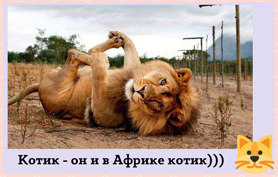 4743317_i_jpgp (550x350, 76Kb)