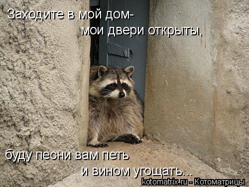 4743317_D (500x375, 50Kb)
