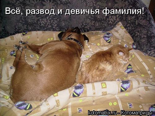 4743317_4F (500x375, 44Kb)