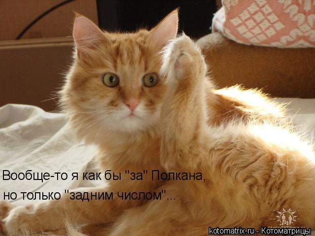 4743317_gr (640x480, 46Kb)
