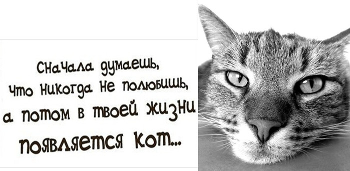 4743317_i_jpgv (700x342, 63Kb)