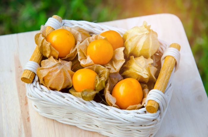 6969960_shutterstock_537295321 (700x463, 47Kb)