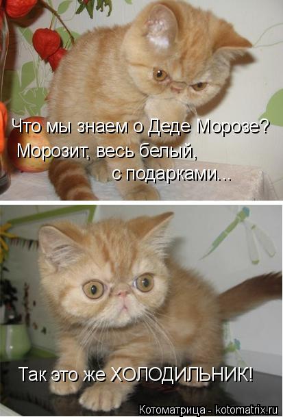 4743317_kotomatritsa_U (413x609, 42Kb)