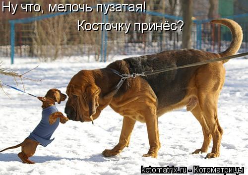 4743317_9Z (500x353, 39Kb)