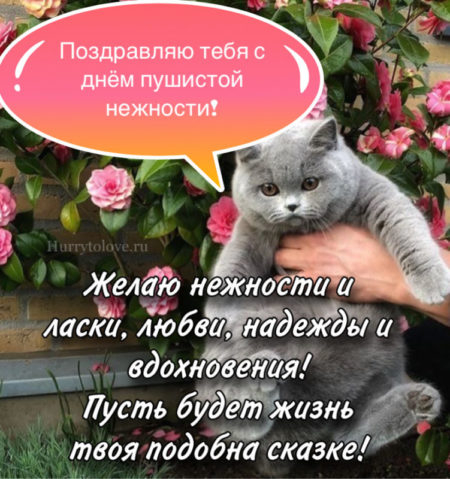 1фф1 (450x479, 159Kb)