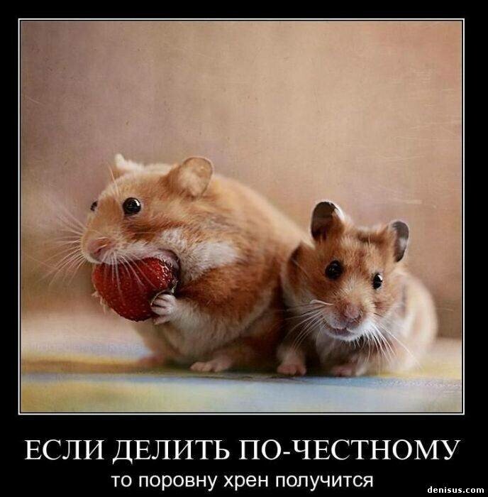 4743317_i_jpgy (688x700, 64Kb)
