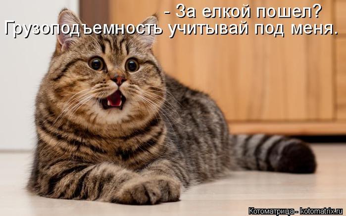 4743317_kotomatritsa_49 (700x436, 48Kb)