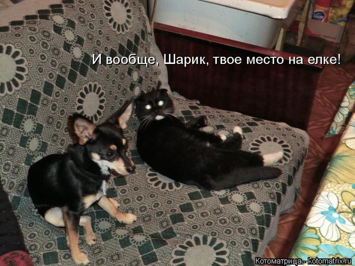 4743317_kotomatritsa_a (700x524, 73Kb)