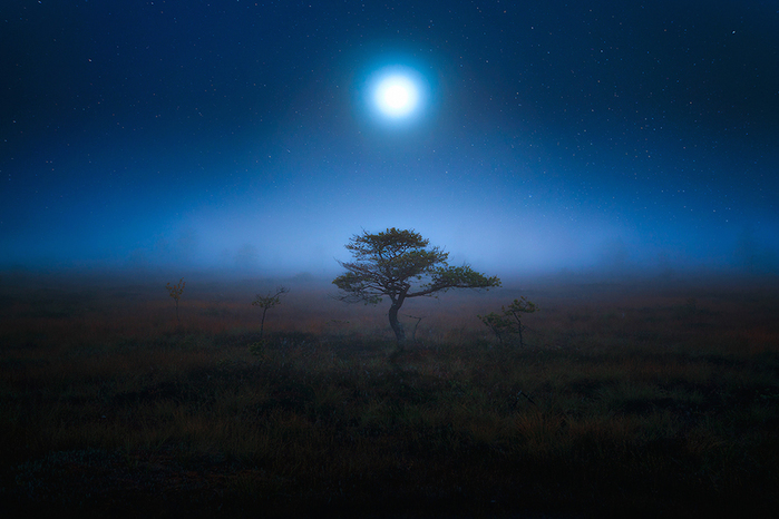 Mika Suutari  Incredible-Full-Moon-Photo-Series-by-Mike-Suutari-4-1 (700x466, 268Kb)