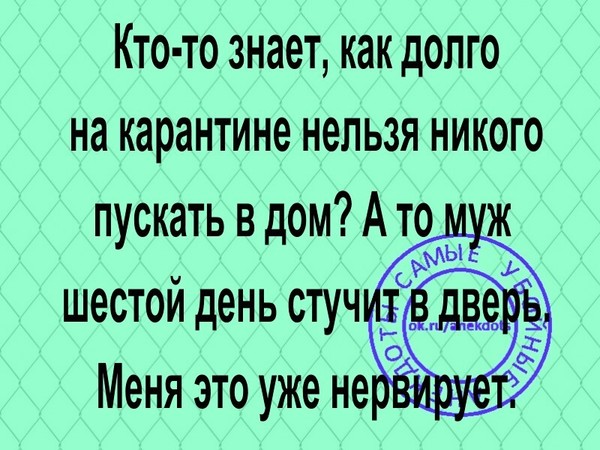 3416556_i69191 (600x450, 86Kb)