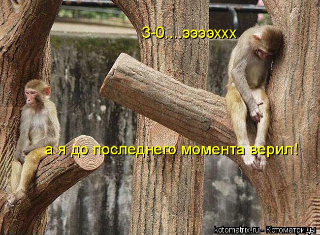 4743317_9X (650x478, 84Kb)
