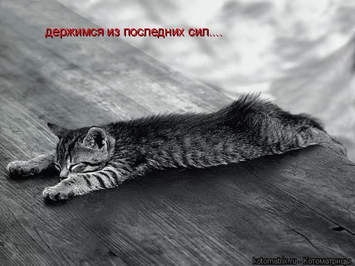 4743317_is (700x524, 58Kb)
