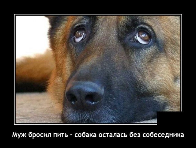 0a7303 (640x483, 157Kb)