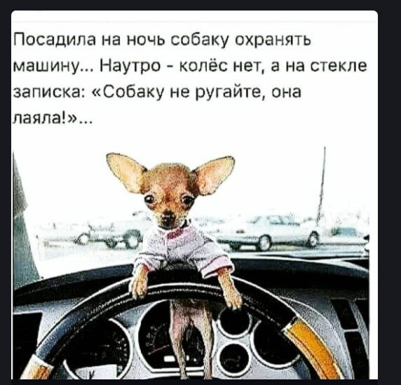 2a0c384b0a (572x549, 163Kb)