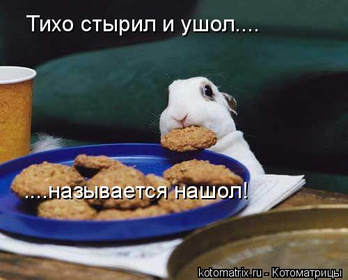 4743317_Sd (500x403, 27Kb)