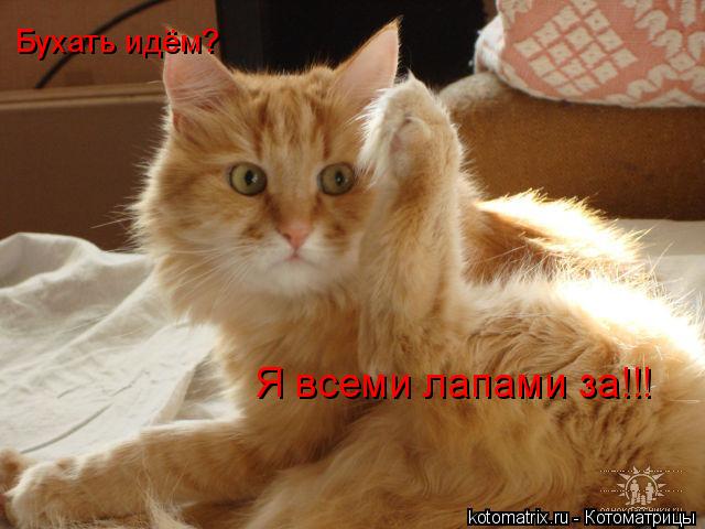 4743317__ (640x480, 45Kb)