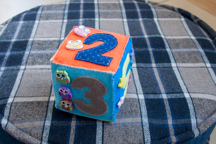 DSC_1064 (700x466, 489Kb)