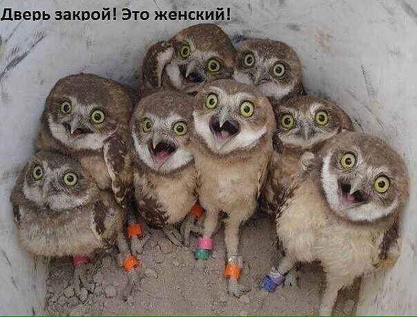 i (26) (604x459, 178Kb)