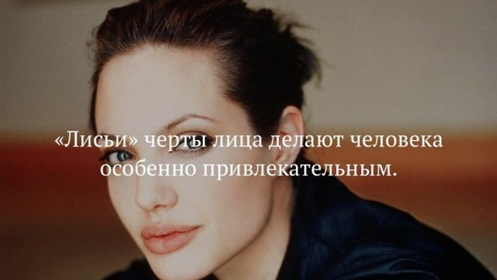 1490865892_fakt_05 (700x394, 128Kb)