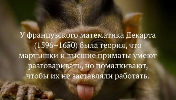 1490865933_fakt_01 (700x398, 187Kb)