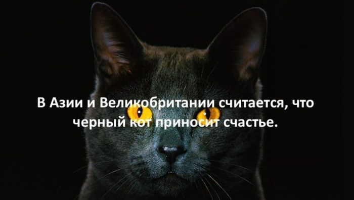 1490865945_fakt_17 (700x396, 91Kb)
