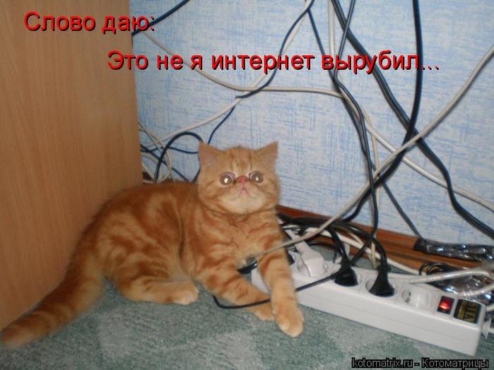 4743317_kl (700x524, 54Kb)