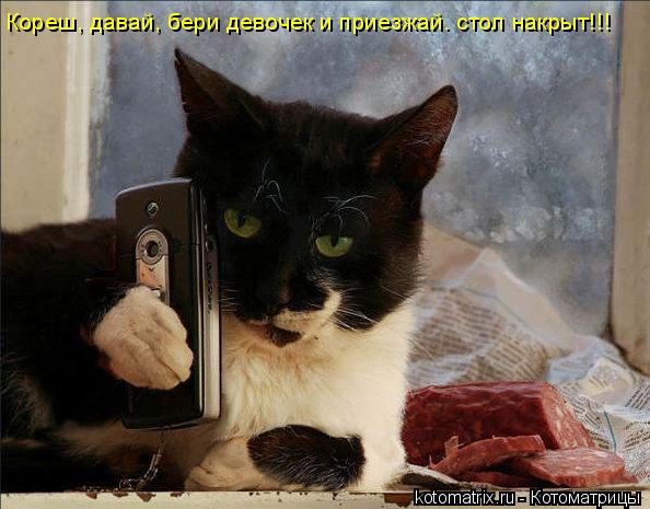 4743317_T9 (594x465, 49Kb)