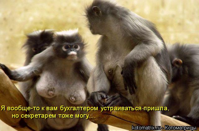 4743317_1G (640x423, 43Kb)