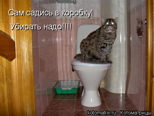 4743317_HP (500x375, 33Kb)