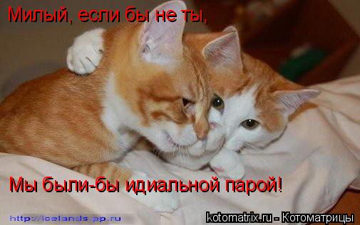 4743317_l9 (505x316, 28Kb)