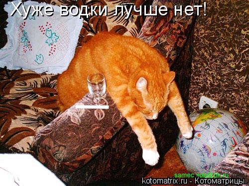 4743317_Dm (500x375, 55Kb)