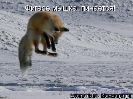 4743317_W_ (460x345, 31Kb)