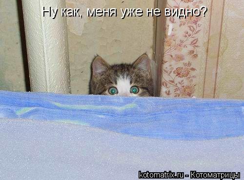 4743317_5o (500x369, 38Kb)