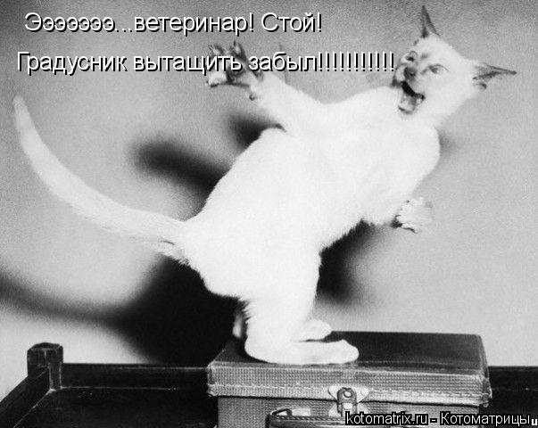 4743317_bg (603x480, 46Kb)