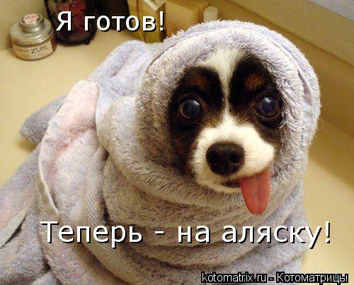 4743317_d5 (500x403, 43Kb)
