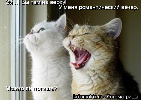 4743317_b9 (450x320, 24Kb)