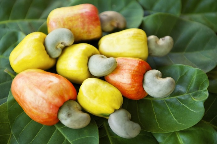 4Cashew (700x465, 70Kb)