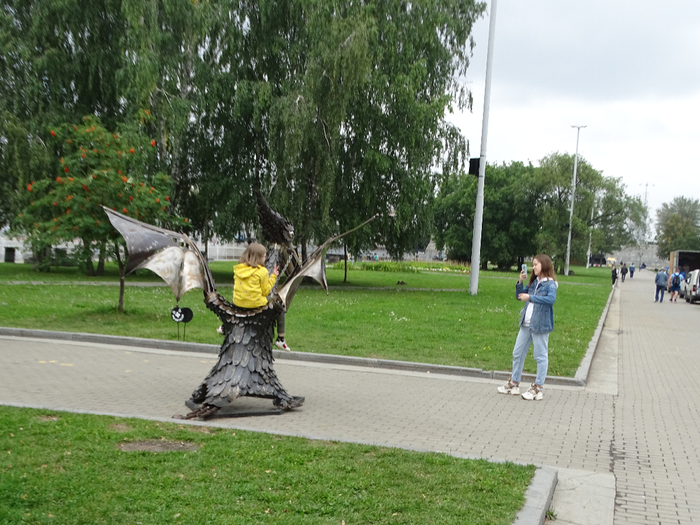 DSC00269 (700x525, 429Kb)