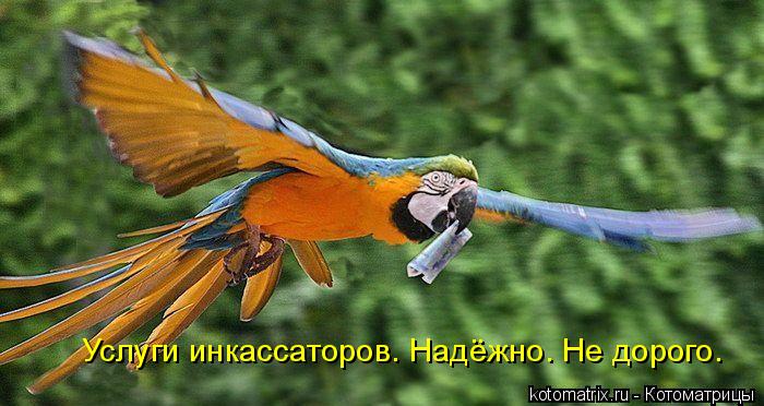4743317_mg (700x372, 57Kb)