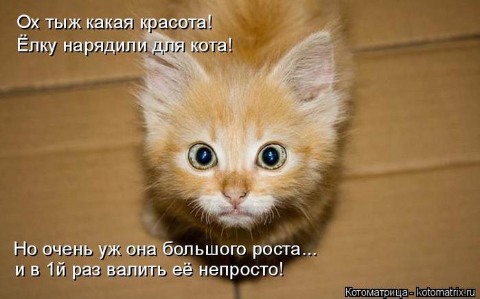4743317_kotomatritsa__ (700x436, 39Kb)