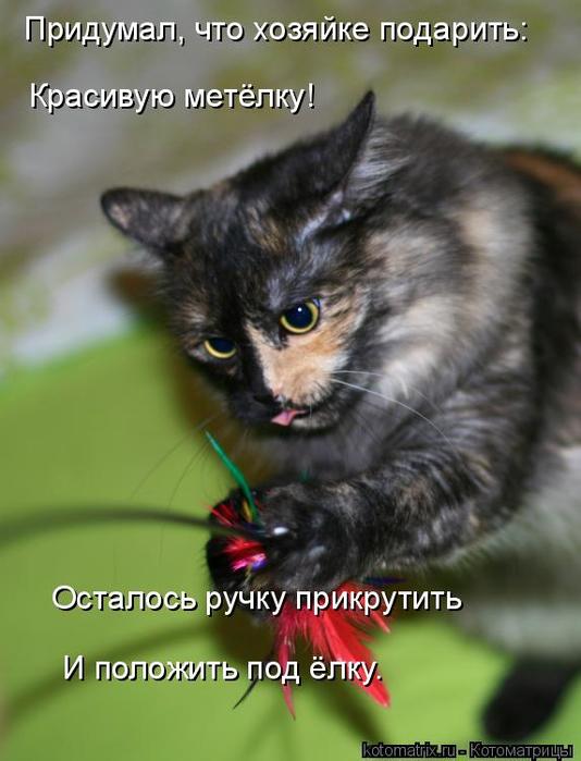 4743317_kotomatritsa_i (534x700, 46Kb)