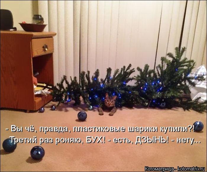4743317_kotomatritsa_V (700x581, 61Kb)