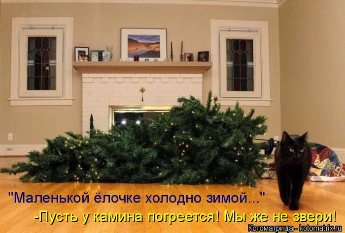 4743317_kotomatritsa_G (700x474, 54Kb)