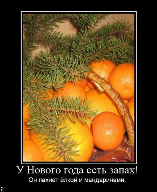 4743317_demotivatori_31 (550x673, 71Kb)